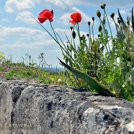 B&B Monastero Rocca Pampina 팔라지아넬로
